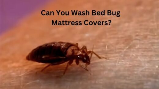 Can-you-wash-bed-bug-mattress-covers