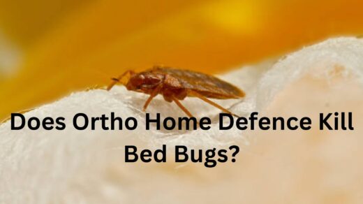 Does-Ortho-Home-defence-Kill-Bed-Bugs