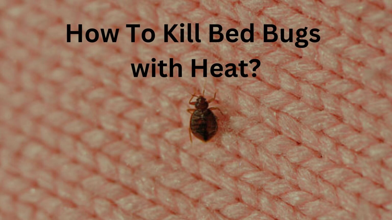 How To Kill Bed Bugs With Heat 1536x864 