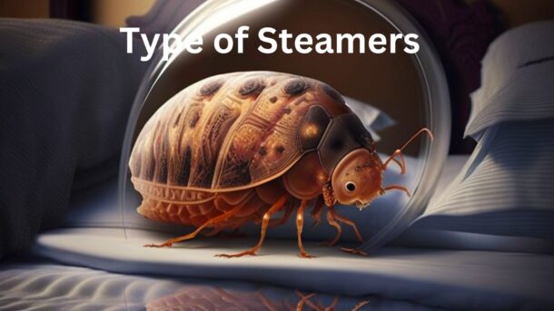 Type-Of-Stemers-To-Kill-Bed-Bugs