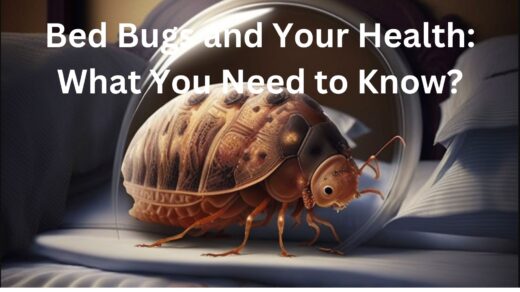 Bed-Bugs-And-Your-Health