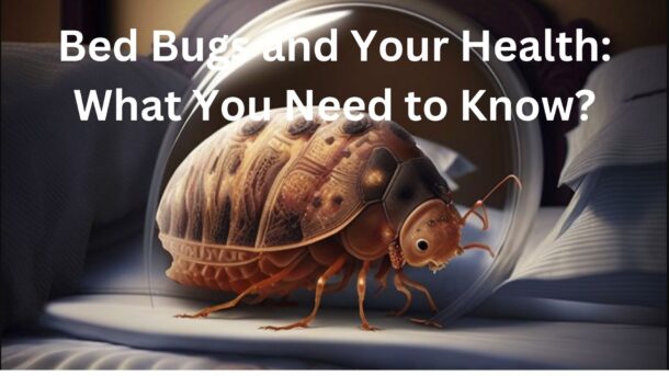 Bed-Bugs-And-Your-Health