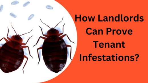 How-Lanlord-Can-Prove-Infestation