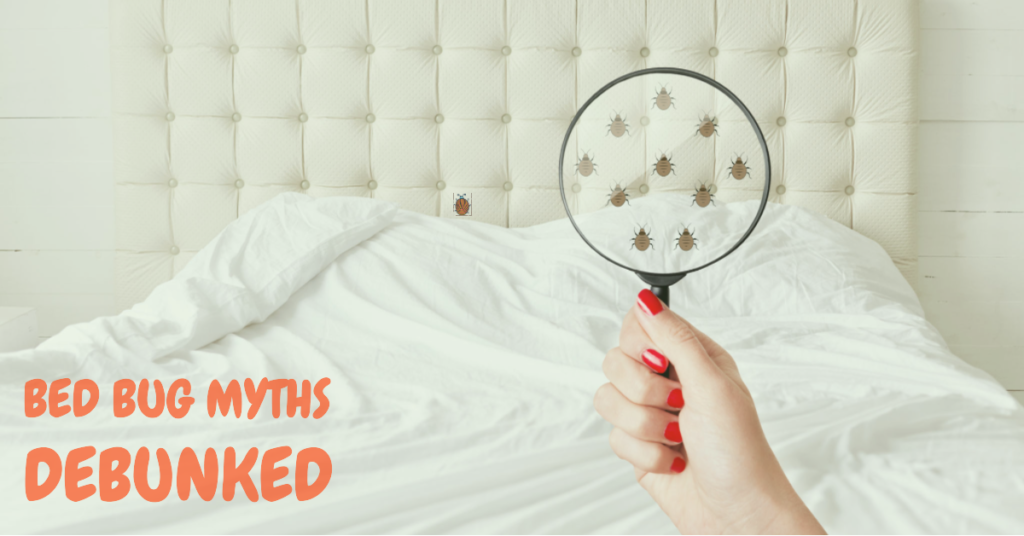 Bed bug myths debunked