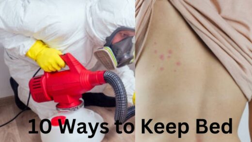 10-Ways-To-Keep-Bed-Bugs-Away-For-Good