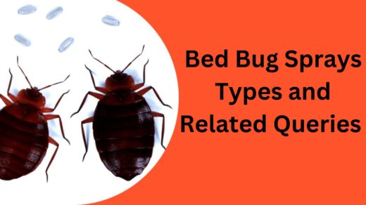 Bed-Bug-Sprays