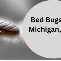 Bed-Bugs-In-Michigan-US