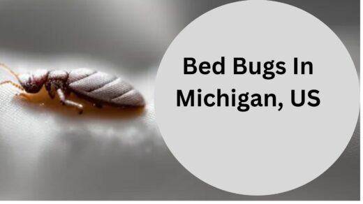 Bed-Bugs-In-Michigan-US