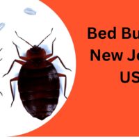 Bed-Bugs-In-New-Jersey-US