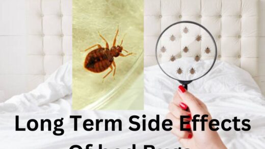 Long-Term-Side-Effects-Of-bed-Bugs