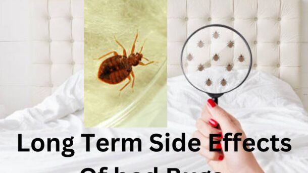 Long-Term-Side-Effects-Of-bed-Bugs