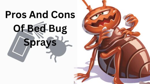 Pros-And-Cons-Of-Bed-Bug-Sprays